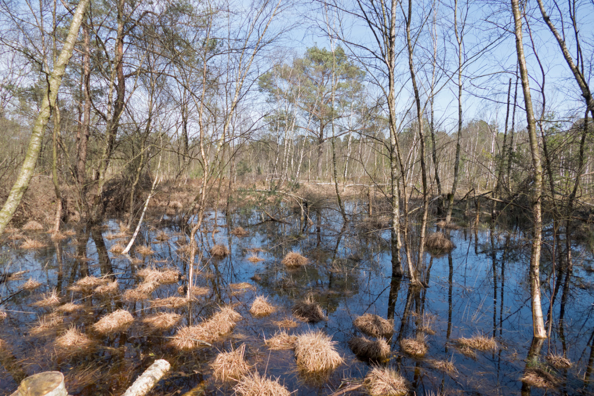 Venner Moor