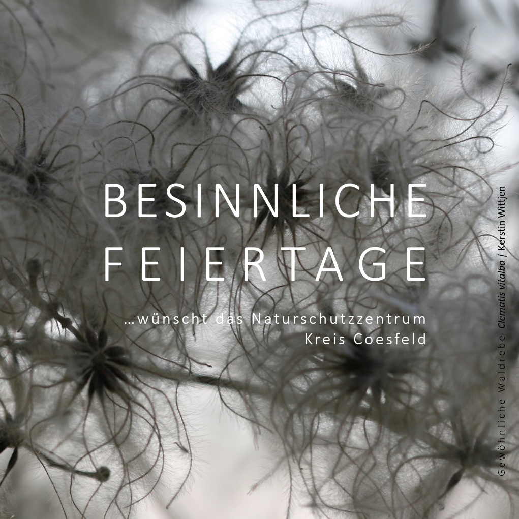 Weihnachtswünsche 2021