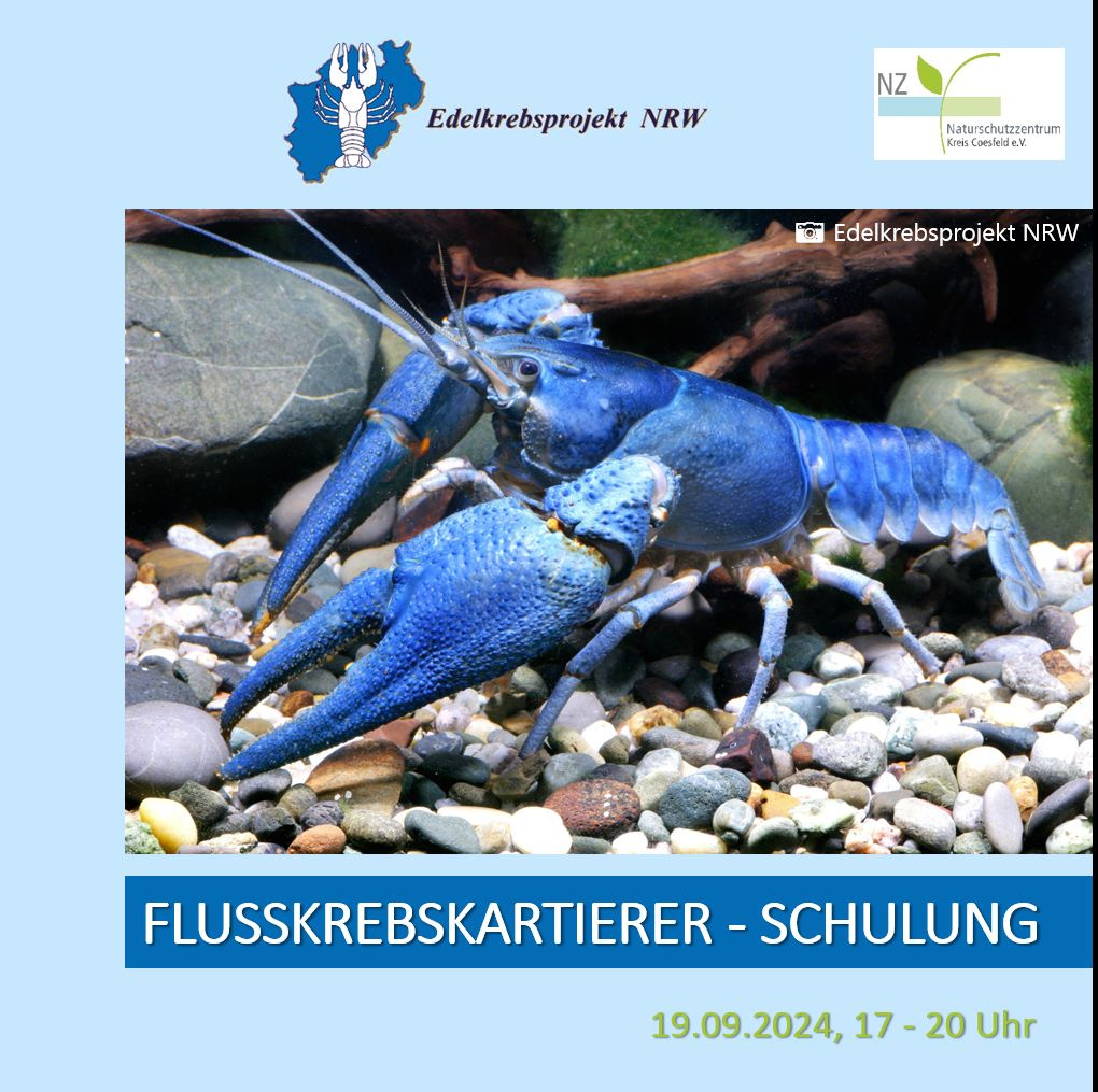 Flusskrebs Kartierschulung 1