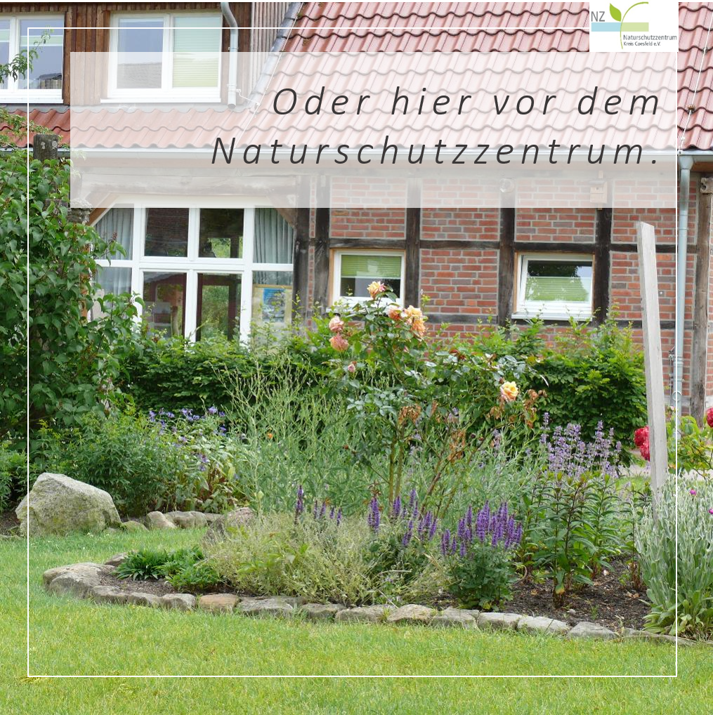 Axel Köhler und Helmut Maas brauchen Unterstützung bei der Gartenarbeit. 4. Foto: © Naturschutzzentrum Coesfeld