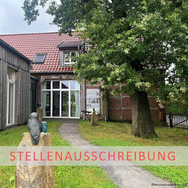Stellenausschreibung 