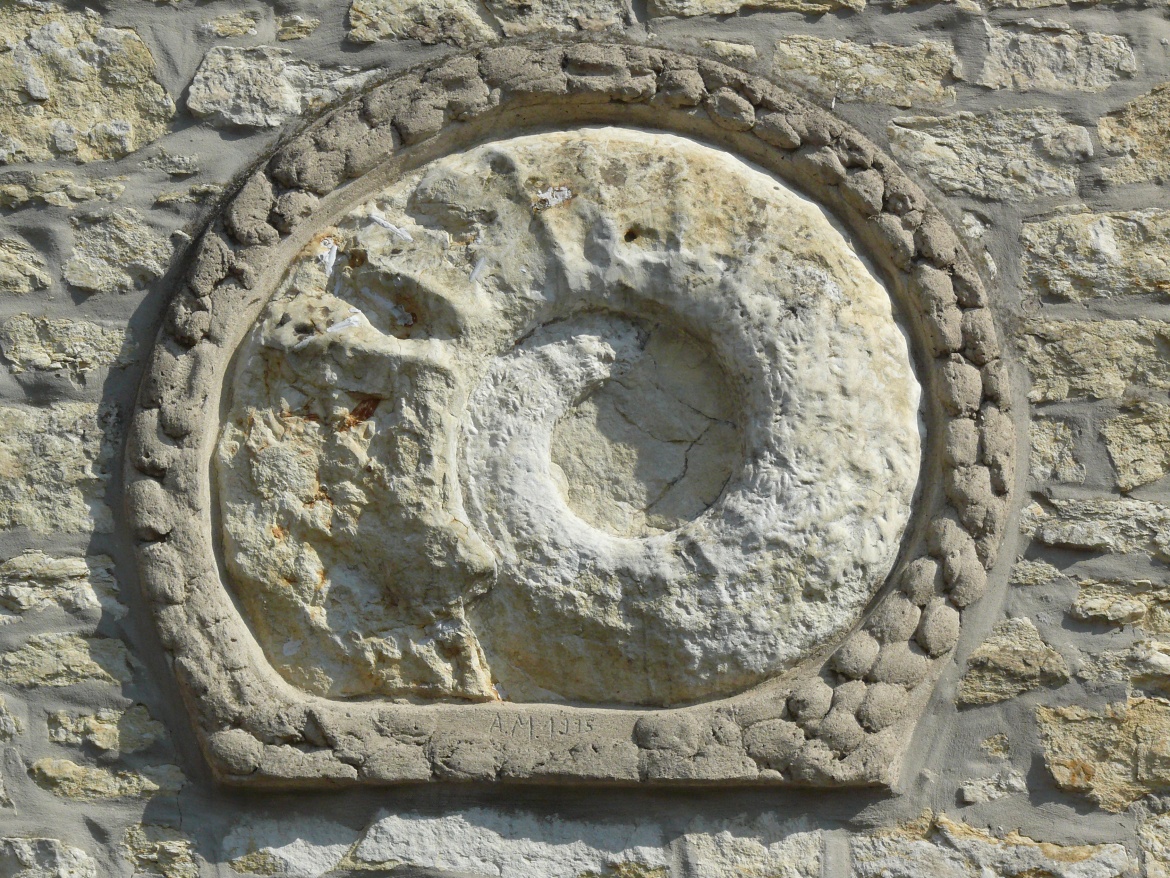 Ammonit in Darup, Foto: Julia Neumann.