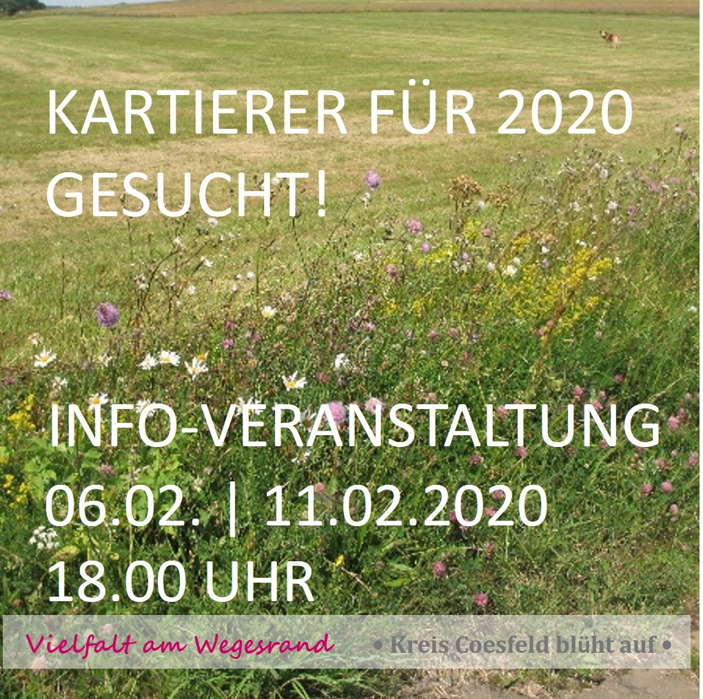 Wegrand-Vortrag 2020 Wegrand-Vortrag 2020