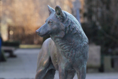 Bronzewolf am Westerteich Herbern von Waltraud Hustermeier, Foto: Birgit Stephan. Bronzewolf am Westerteich Herbern von Waltraud Hustermeier, Foto: Birgit Stephan.