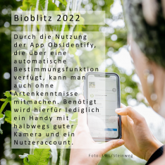 Bioblitz 2022, Foto: LWL/Steinweg