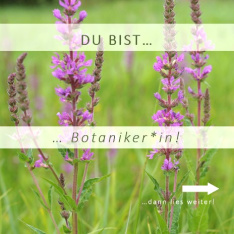 botaniker