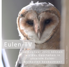 Seit Januar 2021 online! Seit Januar 2021 online!
