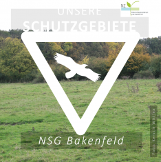 Bakenfeld (1)