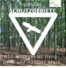 Hengwehr und Hanloher Mark (1)