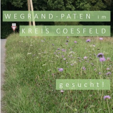 Wegrandpaten gesucht! Foto: Kerstin Wittjen. Wegrandpaten gesucht! Foto: Kerstin Wittjen.