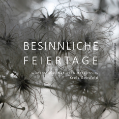 Weihnachtswünsche 2021