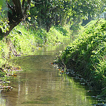 Bach im Naturschutzgebiet