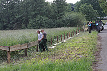 Besucherlenkung durch Zaunbau