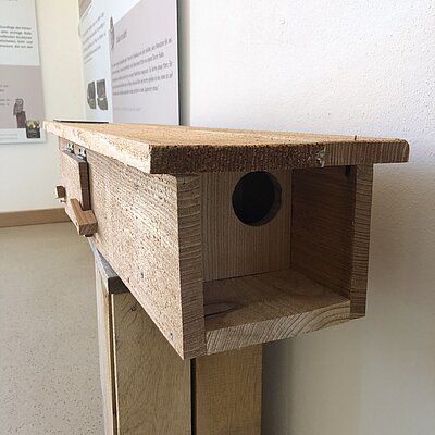 Einflugloch am Nistkasten für den Steinkauz.