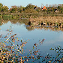 Eine der drei flach überstauten Wasserflächen