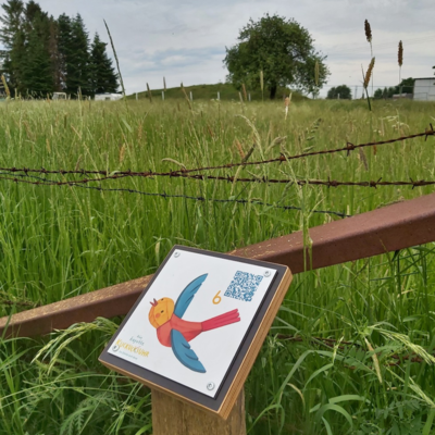 QR-Codes wurden für kleine Stationsschilder genutzt, die an den Handlungsorten des Buches auf dem Wanderweg D1 wiederzufinden sind.