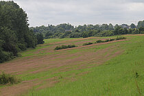 Blick in Nonnenbachtal