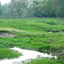 Alte Weidestrukturen mit Mäandern des Düsterbaches.