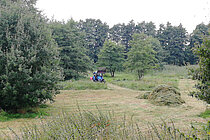 Ausmahd Feuchtbiotop