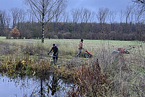 Kleingewässerpflege