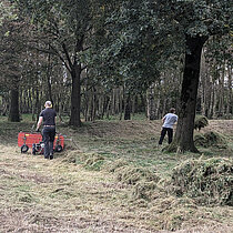 Heidepflege im Wahlers Venn - Mäharbeiten