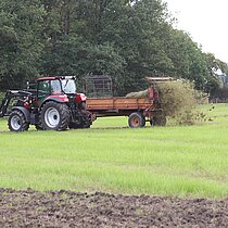 Danach wird das Mahdgut der Spenderfläche auf den Beetstreifen mit einem Miststreuer oder alternativ per Hand übertragen.