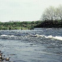 Stromschnelten bei Haus Vogelsang