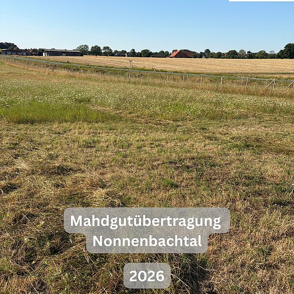 Mahdgutübertragung im Nonnenbachtal 🌸Vor kurzem haben wir wieder eine Mahdgutübertragung im&hellip;
