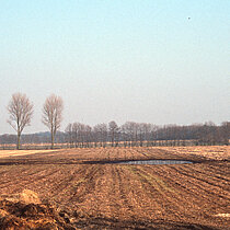 Ackerfläche