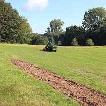 Vorbereitung des Einsaatbeets auf der Empfängerfläche mit einer Fräse.