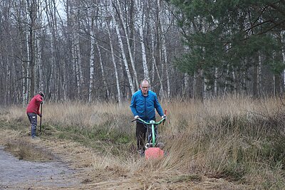 Heidepflege im Venner Moor