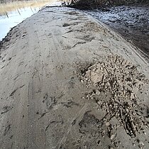 Am Ufer zusammen gescharrte kleine Häufchen aus Erde oder Sand.