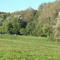 Bachtal der Bombecker Aa.