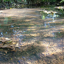 Vechte bei Rosendahl