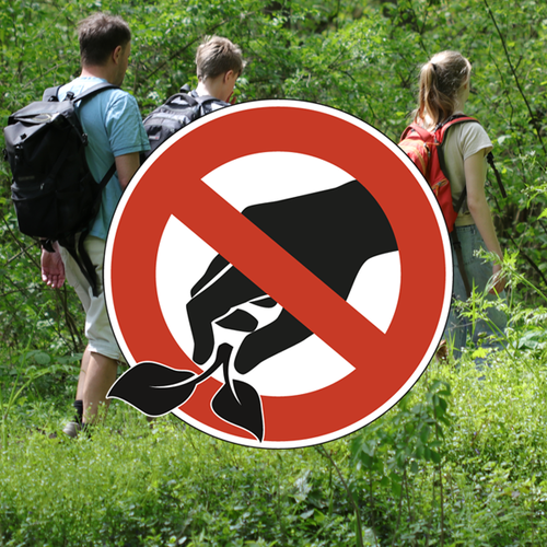 Abpflücken verboten!