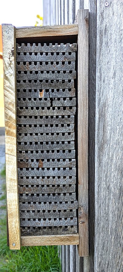 Insektenhotel am Naturschutzzentrum.