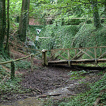 Holzbrücke über einen Bachlauf im Wald.