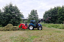 Ausmahd Feuchtbiotop