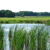 NSG Heubachwiesen - Raeker Wiese