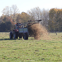 Mahdgut wird mit einem Miststreuer übertragen.