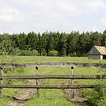 Weidehuette Heckbaum