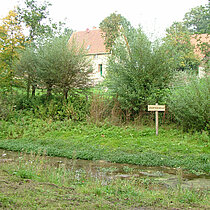 Holzschild mit der Bezeichnung Vechtequelle am Bachufer.