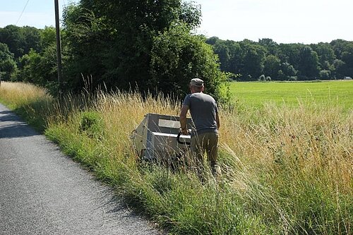 Wiesefix-Ernte an einem artenreiche Wegrand.