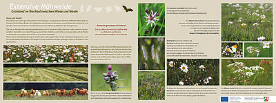 Infotafel Tiergarten