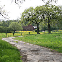 Weg zum Hof durch Wiesen und Weiden.