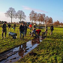 Arbeitseinsatz im Kottenbrook, 2019.