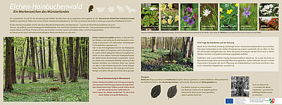 Infotafel Tiergarten