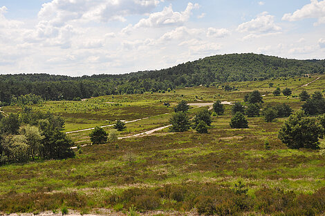 Die Stöckmann-Stiftung fördert Maßnahmen in Borkenberge
