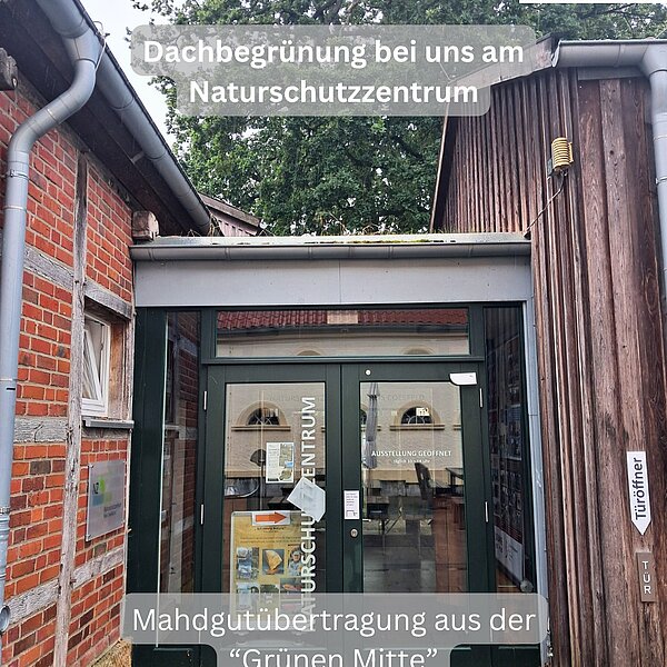 Instagram Post 18121276051928771 Neue Dachbegrünung am Naturschutzzentrum! 🌿🌱Unser Dach bekommt ein Stück heimischen Magerrasen –…