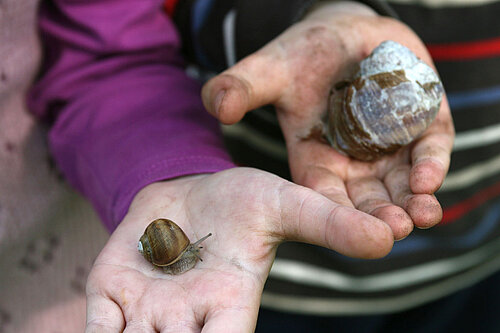 Kinderhand mit Schnecke